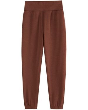 Supesu Cubby Jogger - Brown