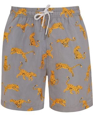 Robert & Son Cheetah - Blue