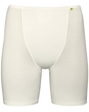 Zd - Zero Defects Neutrals Galatea Short-Leg Knickers – Comfort & Thigh Protection With Soy Fibre - White