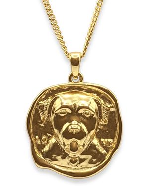 Frenvyrn Lars Dog Coin Necklace, Vermeil - Metallic
