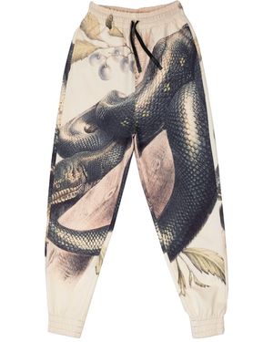 mysimplicated Neutrals Pants - Blue