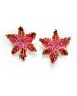 Manuela Cabrales Selva - Red