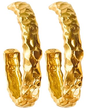 LINYA JEWELLERY Rara Amorphous Half Oval Earrings - Metallic