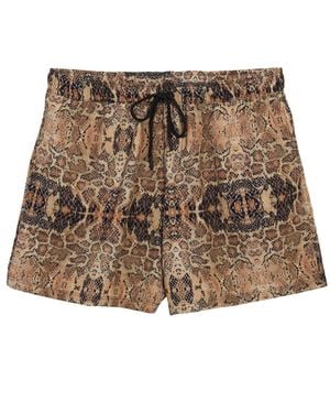 Nol Collective Trunks - Brown