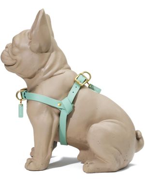 Jellies by Hound Collection Waterproof Dog Harness - Green