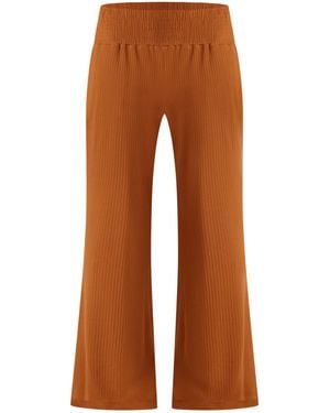 Known Supply Waldo Pant - Brown