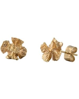 Zula Jewelry + Design Cedar Cone Stud Earrings - Metallic