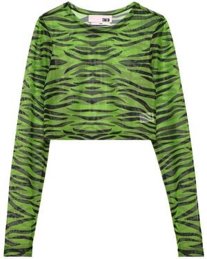 Come on Pop Zebra Tulle Crop Top - Green