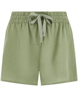 Nudea The Classic Boxer - Green