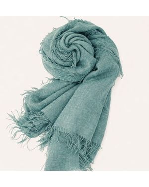 Bel Cashmere Cashmere Foulard With Fringes Dark - Green