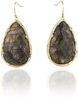 Rare Matters Jewelry Timeless Nature's Beauty Teardrop Earrings Labradorite - Brown