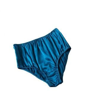 Soft Strokes Silk Set Of Two Pure Mulberry Silk French Cut Knickers - Blue