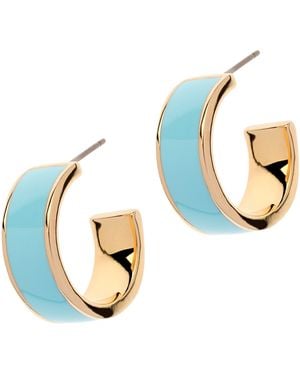 Emma Holland Jewellery Enamel Hoop Earrings - Metallic