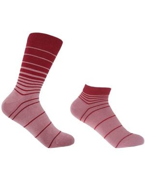 Peper Harow - Made in England Retro Stripe Musk Luxury Crew & Trainer Socks Bundle - Pink