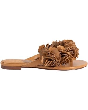 Selena Selena The Florist Flat Sandal - Brown
