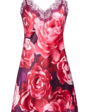 SAINTED SISTERS Scarlett Chemise - Red