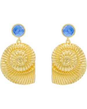 Marcia Moran Oceania Earrings With Tanzanite - Metallic