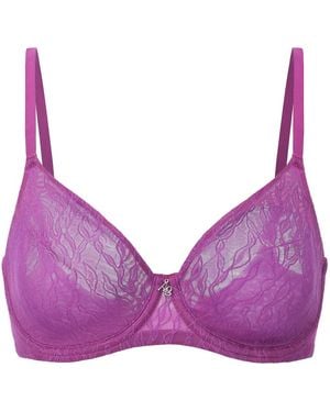 Amour D'agnette Julie Molded Lace & Mesh T-Shirt Bra - Purple