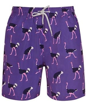 Robert & Son Ostrich - Purple