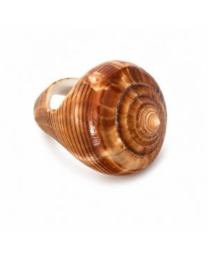 Bellus Domina Spiral Ocean Shell Ring - Brown
