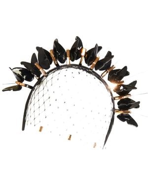 Victoria Grant Bullet Moth - Black