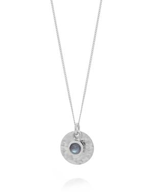 Nellou Jewellery Labradorite Luna Disc Necklace - Metallic