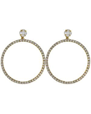 Vickisarge Neutrals The Large Clear Hoop Earrings - Brown
