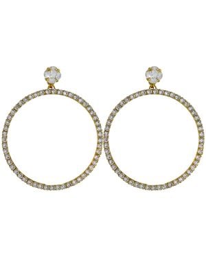 Vickisarge Neutrals The Large Clear Hoop Earrings - Brown