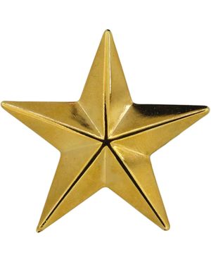 Vickisarge Big Star Pin - Black