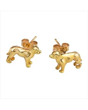 Simon Kemp Jewellers Golden Labrador Stud Earrings Eighteen Carat On Solid Sterling - Metallic