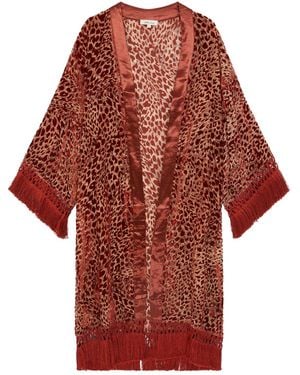 Little Lies Heartbreaker Rust Devore Kimono - Red