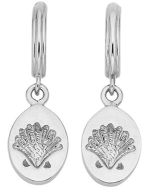 Zoe & Morgan Secret Society Of Shell Lovers Earrings - White