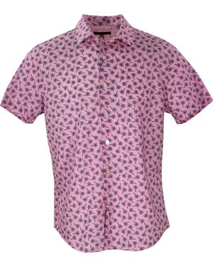 lords of harlech Scott Falling Palms - Pink