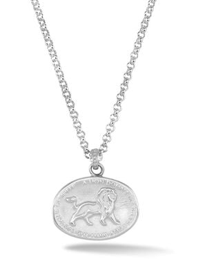 Dower & Hall Lion Talisman Necklace - Metallic
