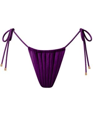 Animal Ènigme Bikini Bottom - Purple