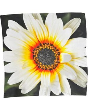 Lindsay Nicholas New York African Daisy Bloom Silk Scarf - Metallic