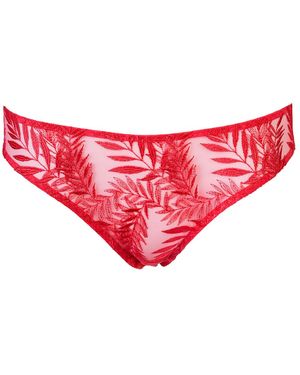 Daily Underwear Classic Brazilian Knickers Flamingo - Red
