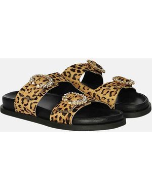 Saint G. Women's Brown Saint G
