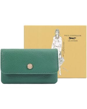 Paul Costelloe Isla Leather Purse - Green