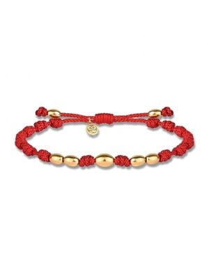 Tvento Nexus Rubra - Red