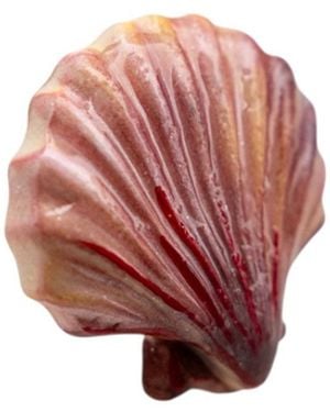 Sunset Magic Studio Coral Shell - Red