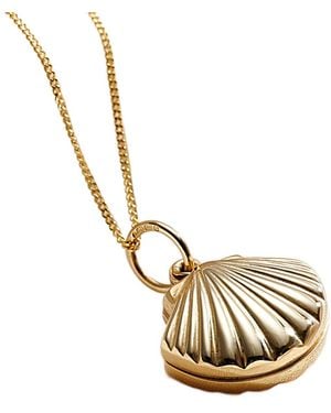 Posh Totty Designs 9Ct Shell Locket Necklace - Metallic