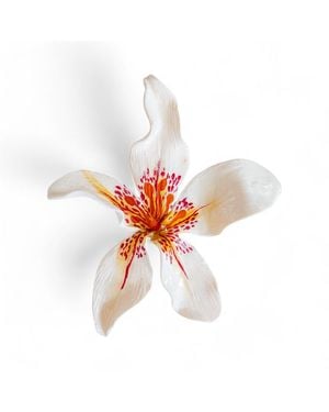Sunset Magic Studio Florise - White