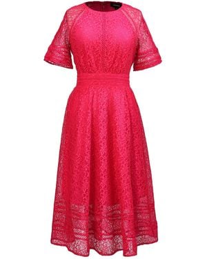 Smart and Joy All-Lace Flared Dress And Trims