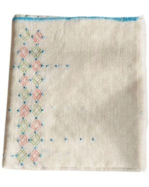 Heritagemoda Neutrals Natural Undyed Pashmina With Hand Embroidery