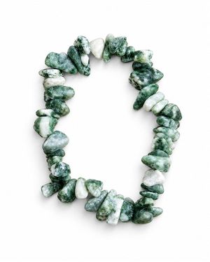 Saéa Tree Agate Chunky Chip Stretch Beaded Bracelet - Green