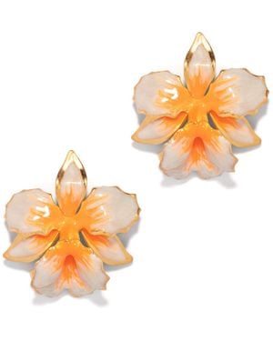 The Pink Reef Vanilla Orchid - Orange