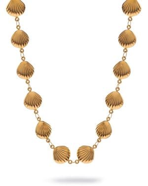Ebru Jewelry Sun Kissed Seashell Energy Necklace - Metallic