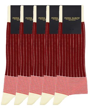Peper Harow - Made in England Groomsmen's Socks Bundle - Red