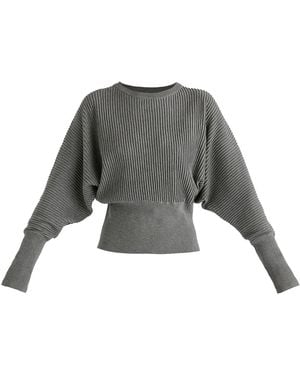 Paisie Ribbed Batwing Sleeve Knit Top With Fitted Waist - Grey